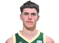 珀斯野猫